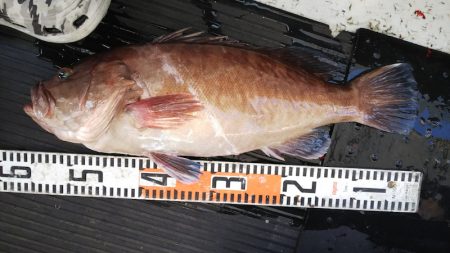 第二龍勢丸 釣果