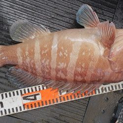 第二龍勢丸 釣果