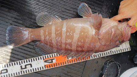 第二龍勢丸 釣果