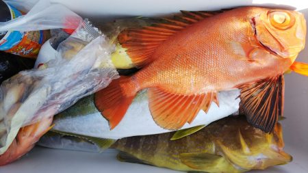 第二龍勢丸 釣果