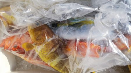 第二龍勢丸 釣果