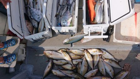 海皇丸 釣果