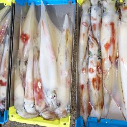 第二龍勢丸 釣果