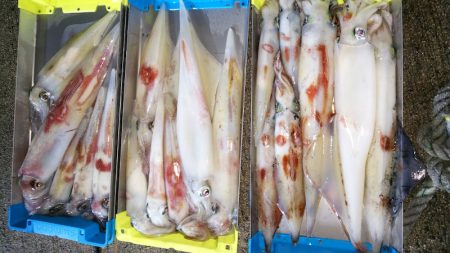 第二龍勢丸 釣果