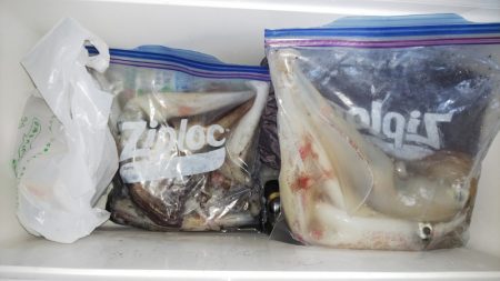 第二龍勢丸 釣果