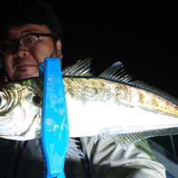 シースナイパー海龍 釣果