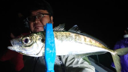 シースナイパー海龍 釣果