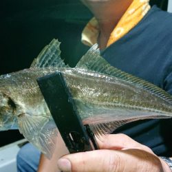 シースナイパー海龍 釣果