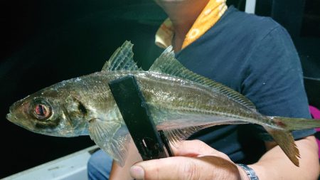 シースナイパー海龍 釣果