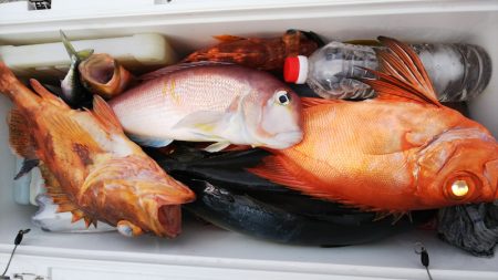 第二龍勢丸 釣果