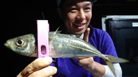 シースナイパー海龍 釣果