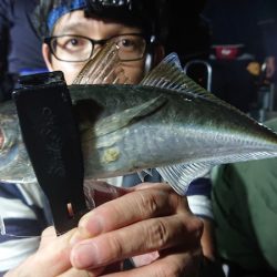 シースナイパー海龍 釣果