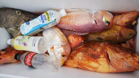 第二龍勢丸 釣果