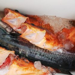 第二龍勢丸 釣果