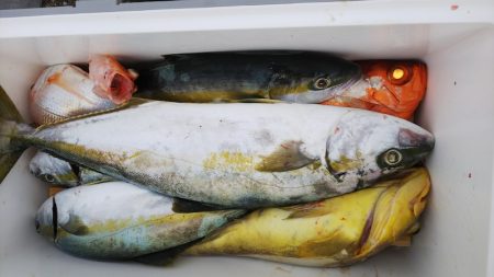 第二龍勢丸 釣果