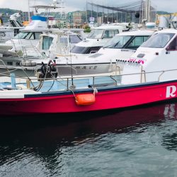 龍神丸（鹿児島） 釣果