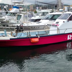 龍神丸(鹿児島) 釣果