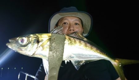 シースナイパー海龍 釣果