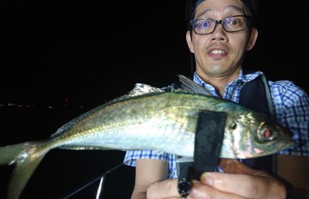 シースナイパー海龍 釣果