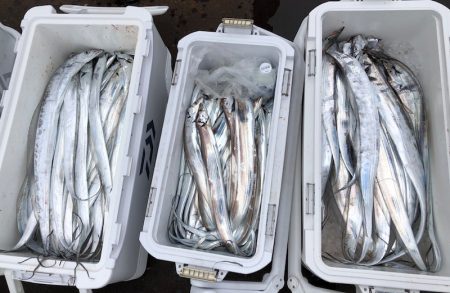 フィッシング キッタカ 釣果