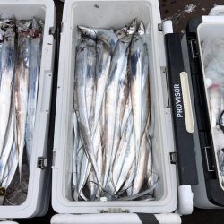 フィッシング キッタカ 釣果