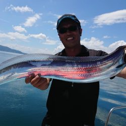 シースナイパー海龍 釣果