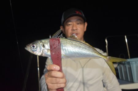 渡船屋たにぐち 釣果