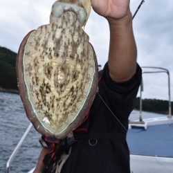 渡船屋たにぐち 釣果