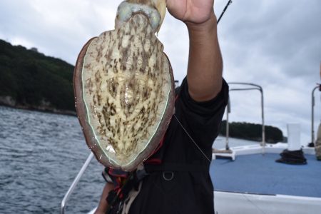 渡船屋たにぐち 釣果