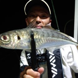 シースナイパー海龍 釣果