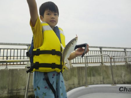 Chase(チェイス) 釣果