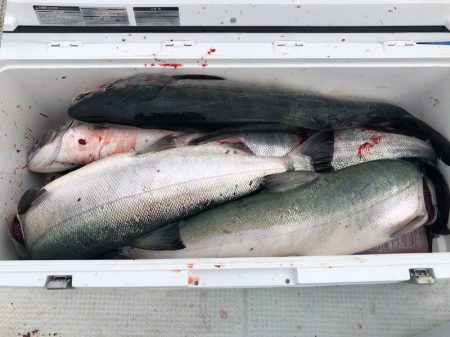 第二　つれたか丸 釣果