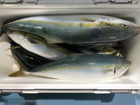 第二八坂丸 釣果