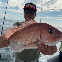 ランスルー 釣果