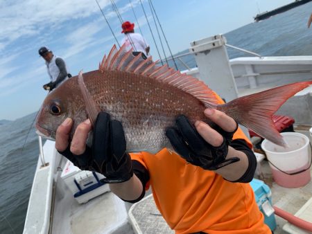 ランスルー 釣果
