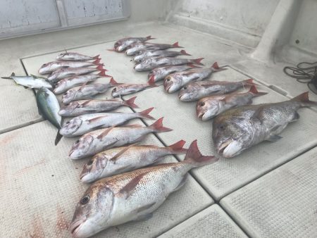 遊漁船メテオ 釣果