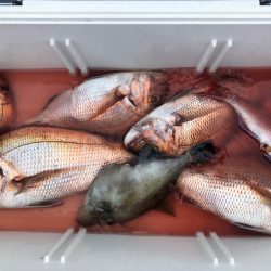 第二八坂丸 釣果