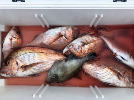 第二八坂丸 釣果