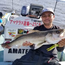 アマテラス 釣果