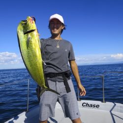 Chase（チェイス） 釣果