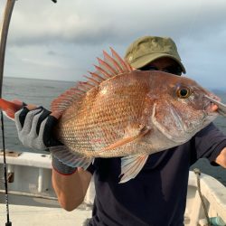 ランスルー 釣果