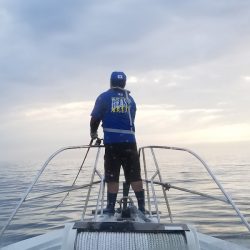 アマテラス 釣果