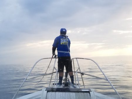 アマテラス 釣果