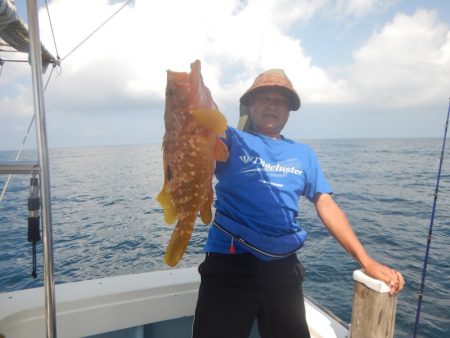 きずなまりん 釣果
