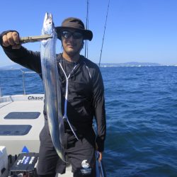 Chase(チェイス) 釣果