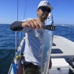 Chase(チェイス) 釣果