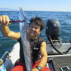 Chase(チェイス) 釣果