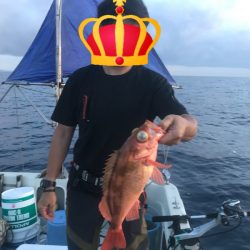 海坊主Ｖ 釣果