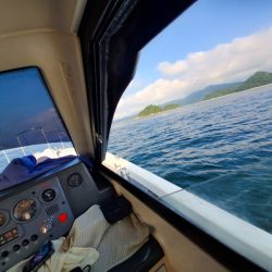 サンマリン 釣果