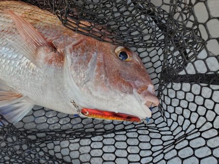 サンマリン 釣果